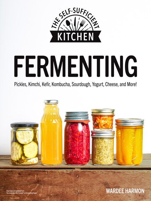 Cover image for Fermenting